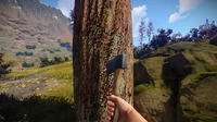 Wood
